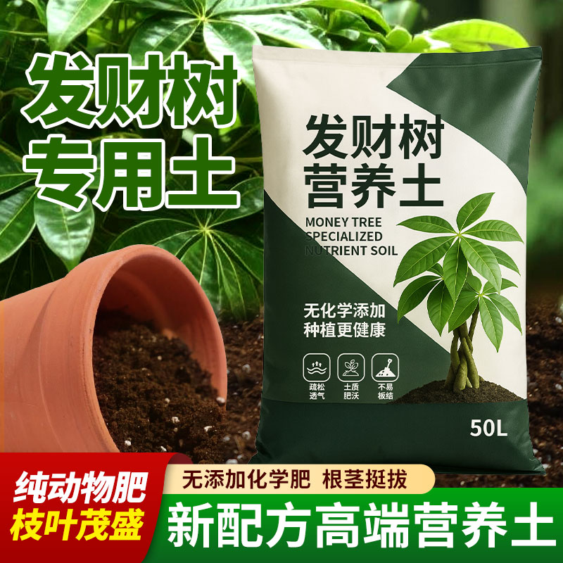 发财树专用营养土室内阳台