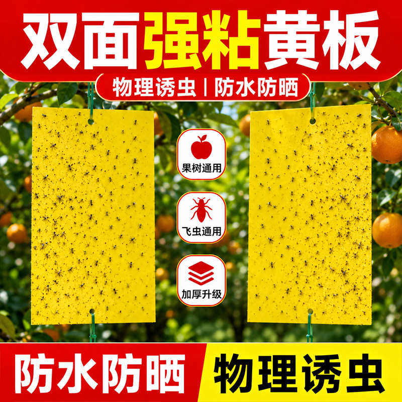 粘虫板双面黄板防虫板贴纸粘捕果蝇小飞虫果蝇诱蝇大棚物理防虫贴