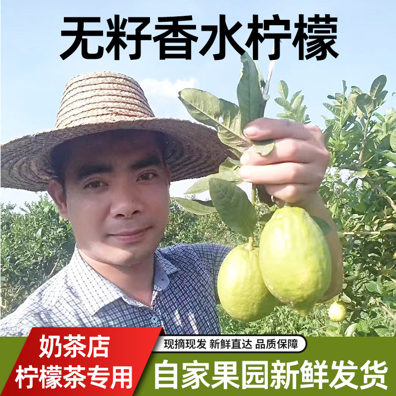 香水柠檬新鲜无籽茶奶茶店专用一级商用果园直发2到9斤装