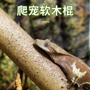 新派玩酷爬宠软木棍R属巨人盖勾亚睫角守宫树蛙栖饲养箱攀爬造景