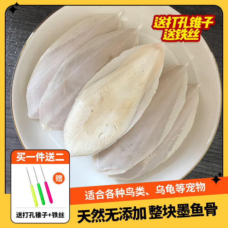 墨鱼骨送打孔锥子和铁丝
