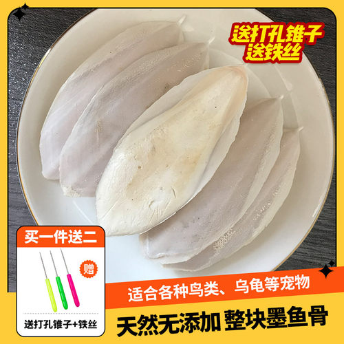 墨鱼骨送打孔锥子和铁丝