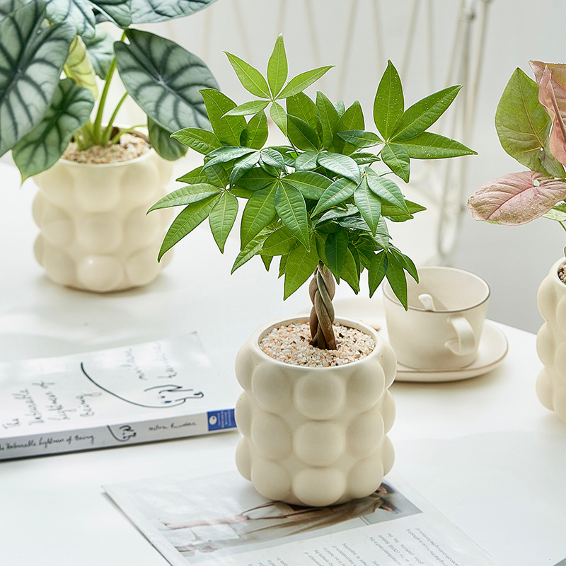 五福五编发财树造型室内绿植盆栽办公室桌面植物招财摆件净化空气