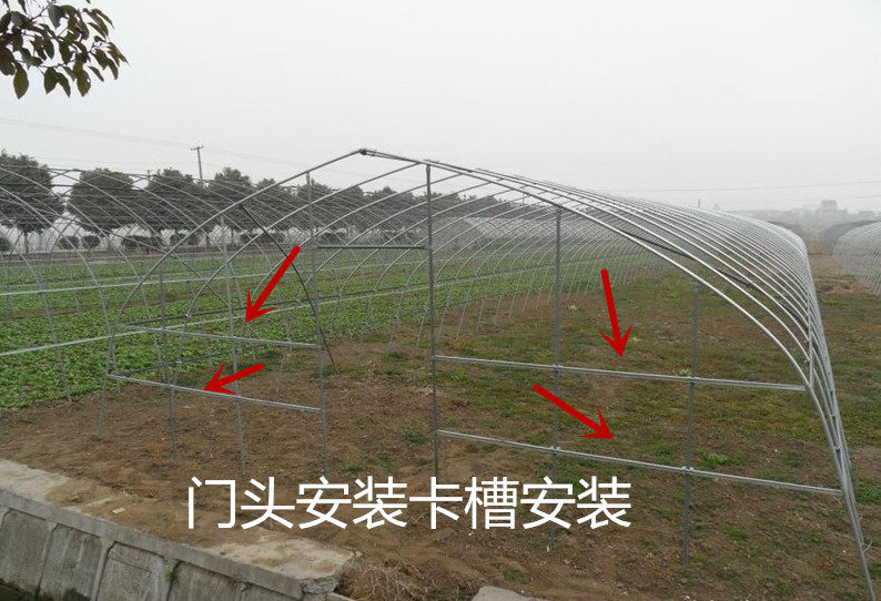 防漏种植鸡舍搭棚草莓农场挡风雨棚加温蔬菜大棚温室全套设备猪场|ruв категории доставка цветов/цветок моделирования/растения садоводства, садовых принадлежностей, других садовых принадлежностей - от Buy2taobao.com для оказания профессиональной услуги покупки агента Taobao