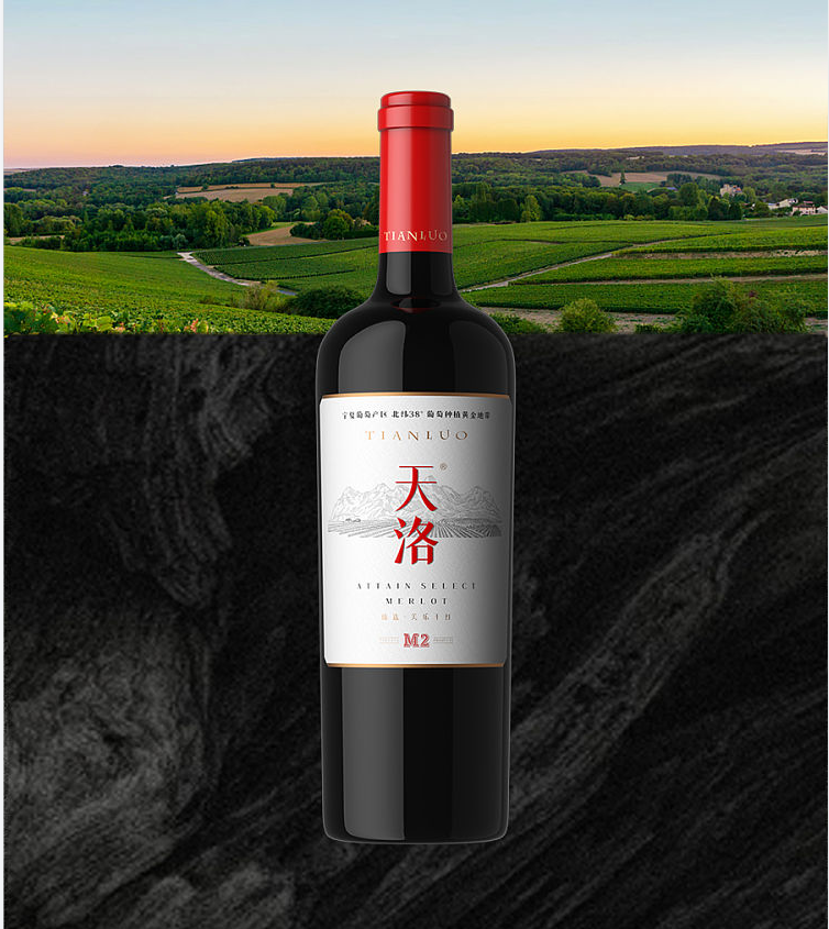 天洛M2 臻选美乐干红葡萄酒750ml*1