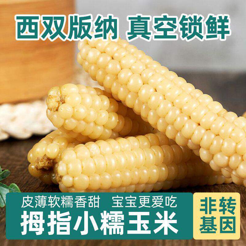 精品云南西双版纳拇指玉米即食早餐新鲜甜香糯迷你手真空包装