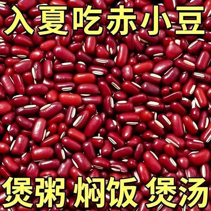 【当季散装】当季正宗新货赤小豆五谷杂粮农家新货煮粥优质赤小豆