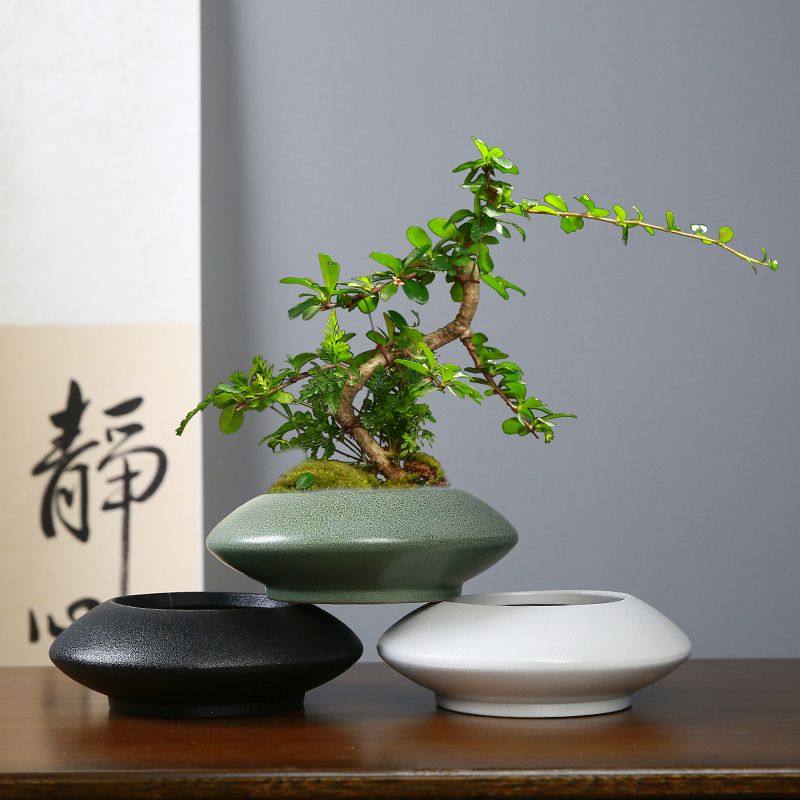 2031新款陶瓷花盆创意圆飞碟花盆陶瓷家用文竹蝴蝶兰专用简约室内