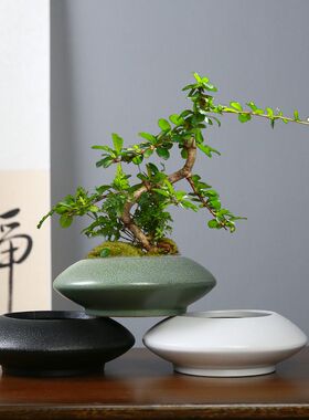 2026新款陶瓷花盆创意圆飞碟花盆陶瓷家用文竹蝴蝶兰专用简约室内