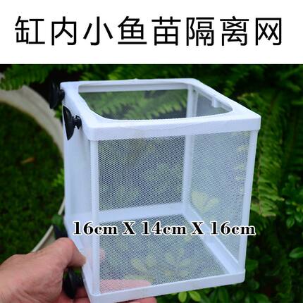 鱼缸内隔离网鱼缸内养小鱼苗隔离网繁殖箱分离网孔雀鱼密网产箱孵