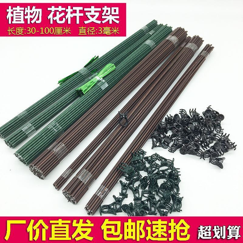 三角梅高飘支撑杆蝴蝶兰