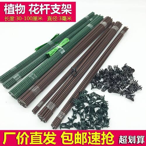 三角梅高飘支撑杆蝴蝶兰