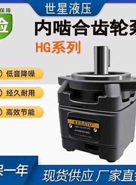 高压齿轮泵HG1-25/40/63-01R-VPC/HG2-80/100/125/160伺服油泵