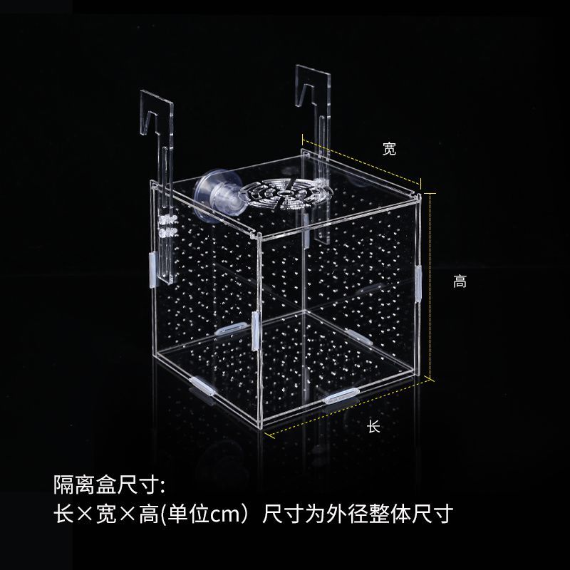 孔雀鱼生产隔离盒鱼缸透