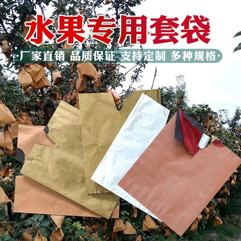 套苹果专用袋寒富桃子双