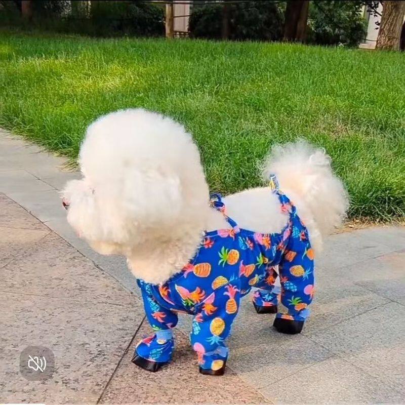 小狗外出防脏衣服狗狗防尘腿套露背罩衣宠物全包四脚连体衣中小犬