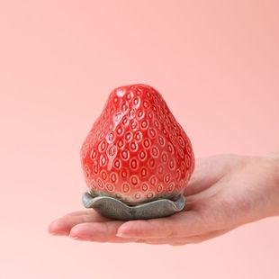 高端精致小茶叶罐草莓茶叶罐陶瓷密封储存罐精品高档小号便携食品