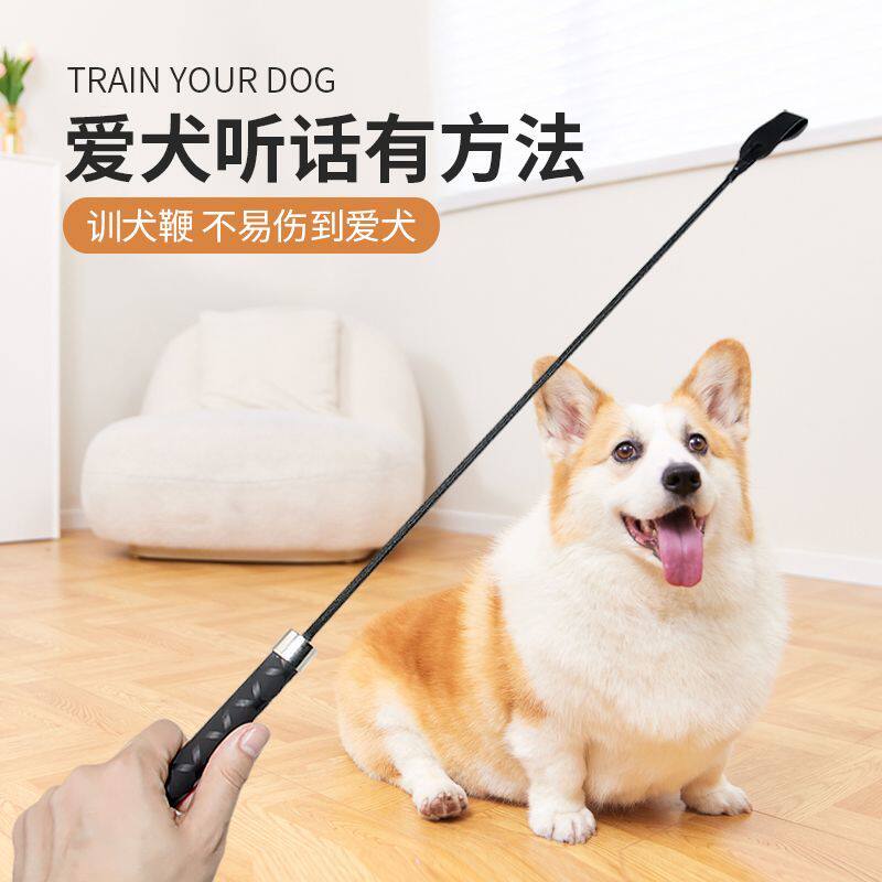 轻便狗打棒伸缩狗狗训犬拍打狗棒训狗鞭新款训狗棒宠物爱心拍训犬