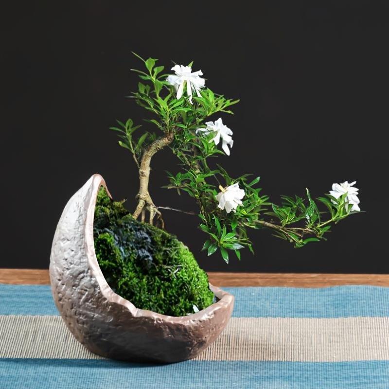 2026秋冬跨境外贸新款秋冬Pot wh Drainage Hole Irregular