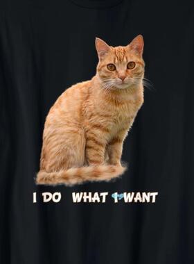 Fun Orange Cat Lovers Gift I Do What I Want to Do irts跨境
