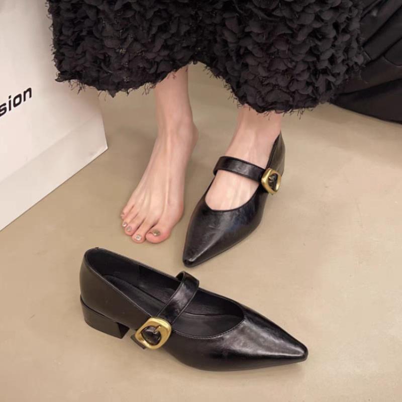 Women's Vintage French Pointed Toe Mary Jane Shoes Low