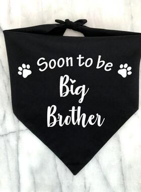 Big Br Big Sister Dog Bandana Pregnancy Announcement