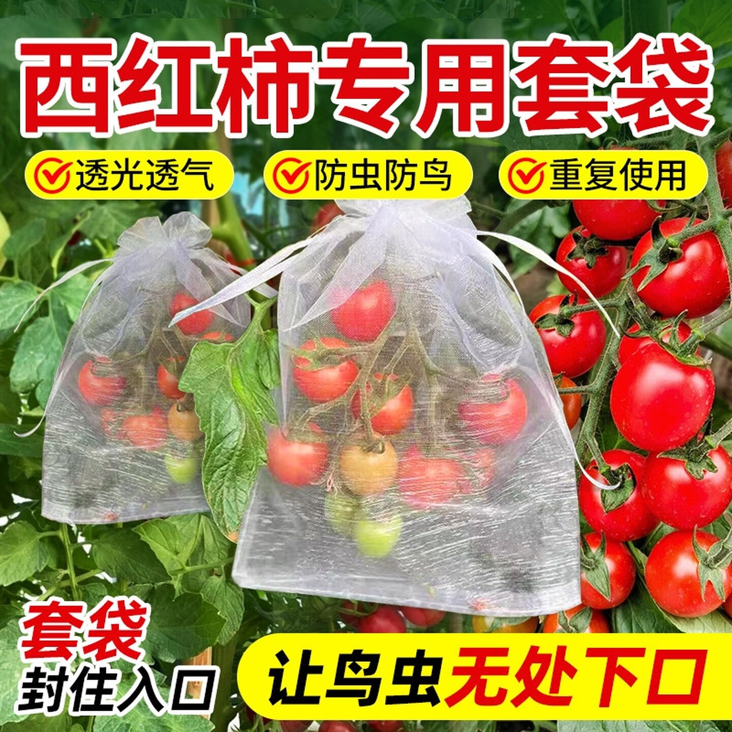 西红柿套袋防虫防鸟番茄圣女果专用水果大号透光透气防果蝇保护袋