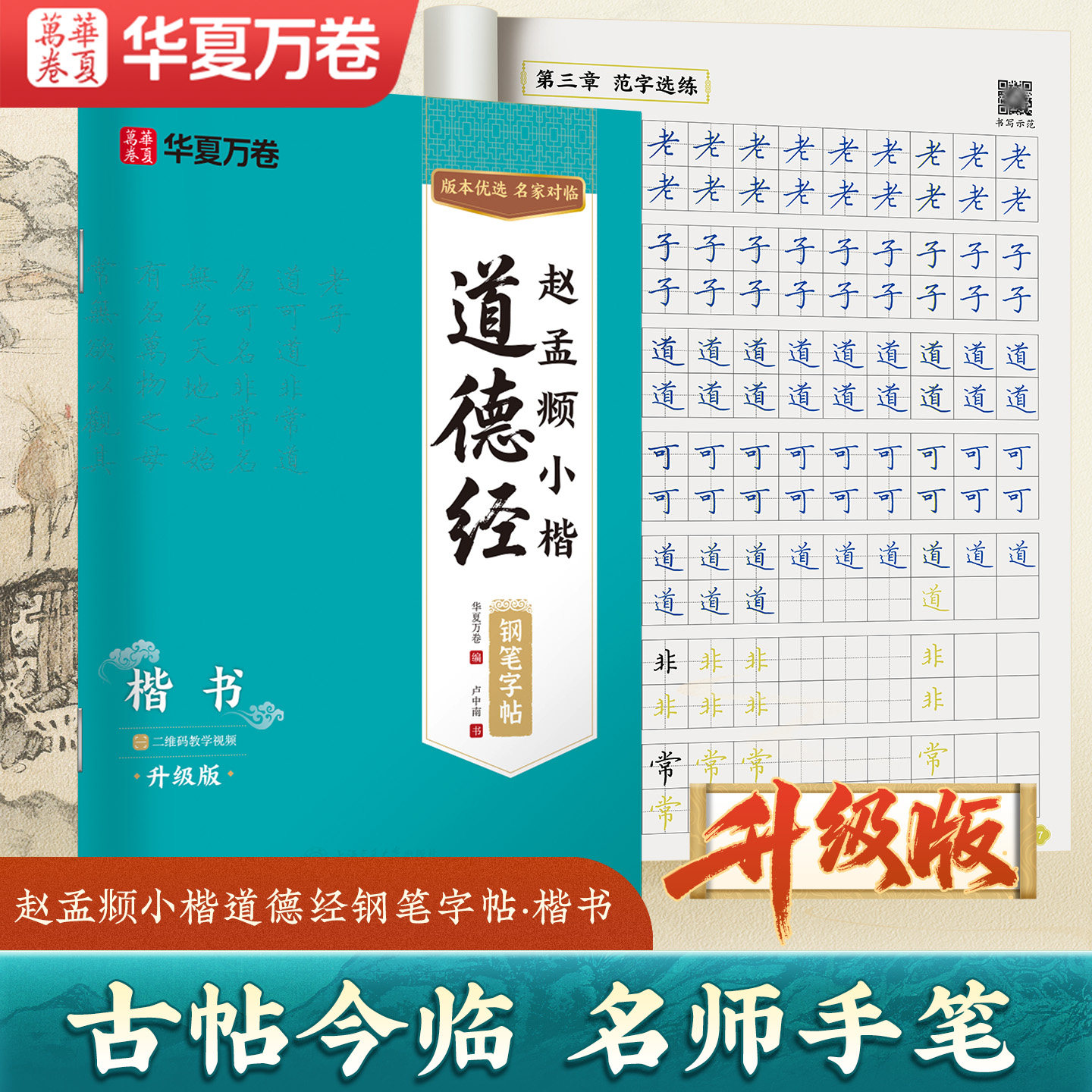 包邮正版视频版卢中南赵孟頫小楷老子道德经钢笔楷书技法入门字帖