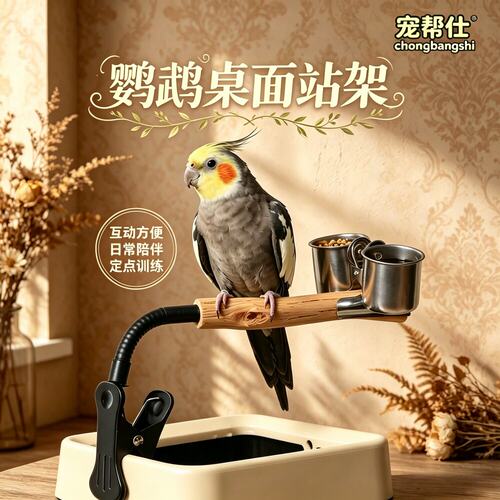 宠帮仕鹦鹉定点拉屎训练器