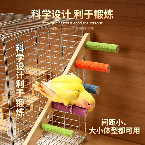 宠帮仕鹦鹉磨砂训练互动玩具
