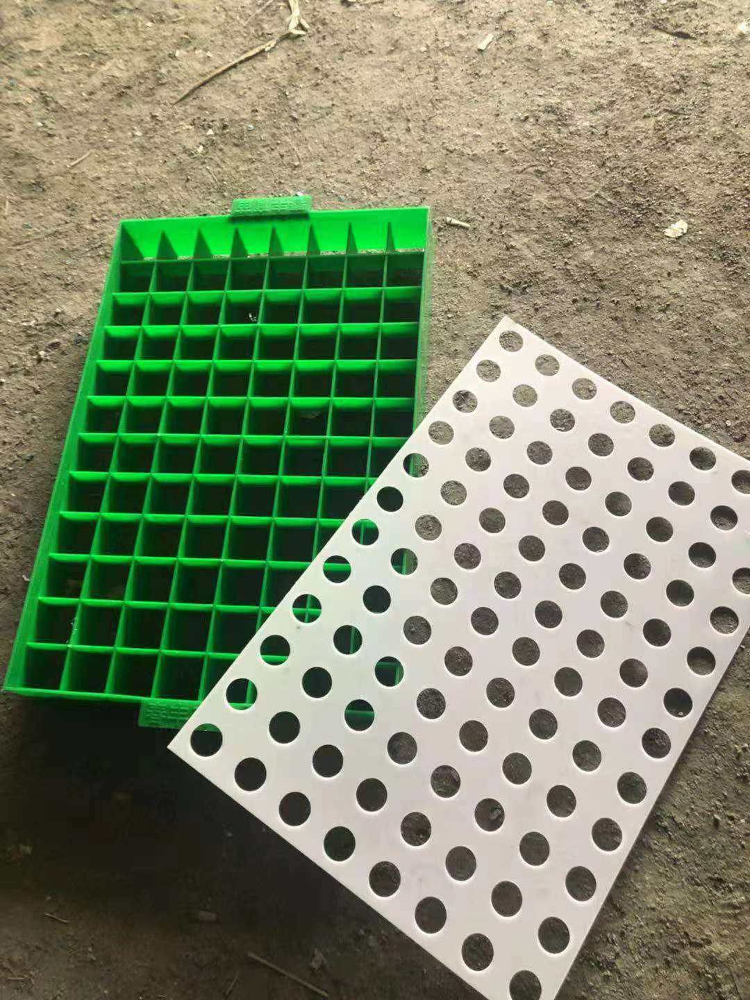 营养育苗盘果树苗培育盆玉梁坨装碗模具育苗神器营养钵装土器