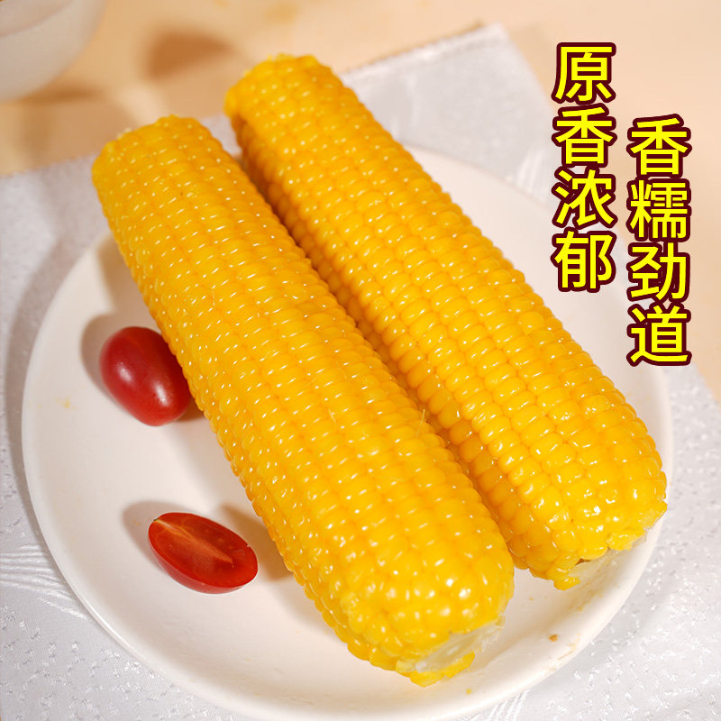 有机黄甜粘糯玉米新鲜现摘真空装加热即食非东北黄粒玉米非转基因