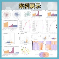 非靶向代谢组学LCMS数据差异分析通路富集服务