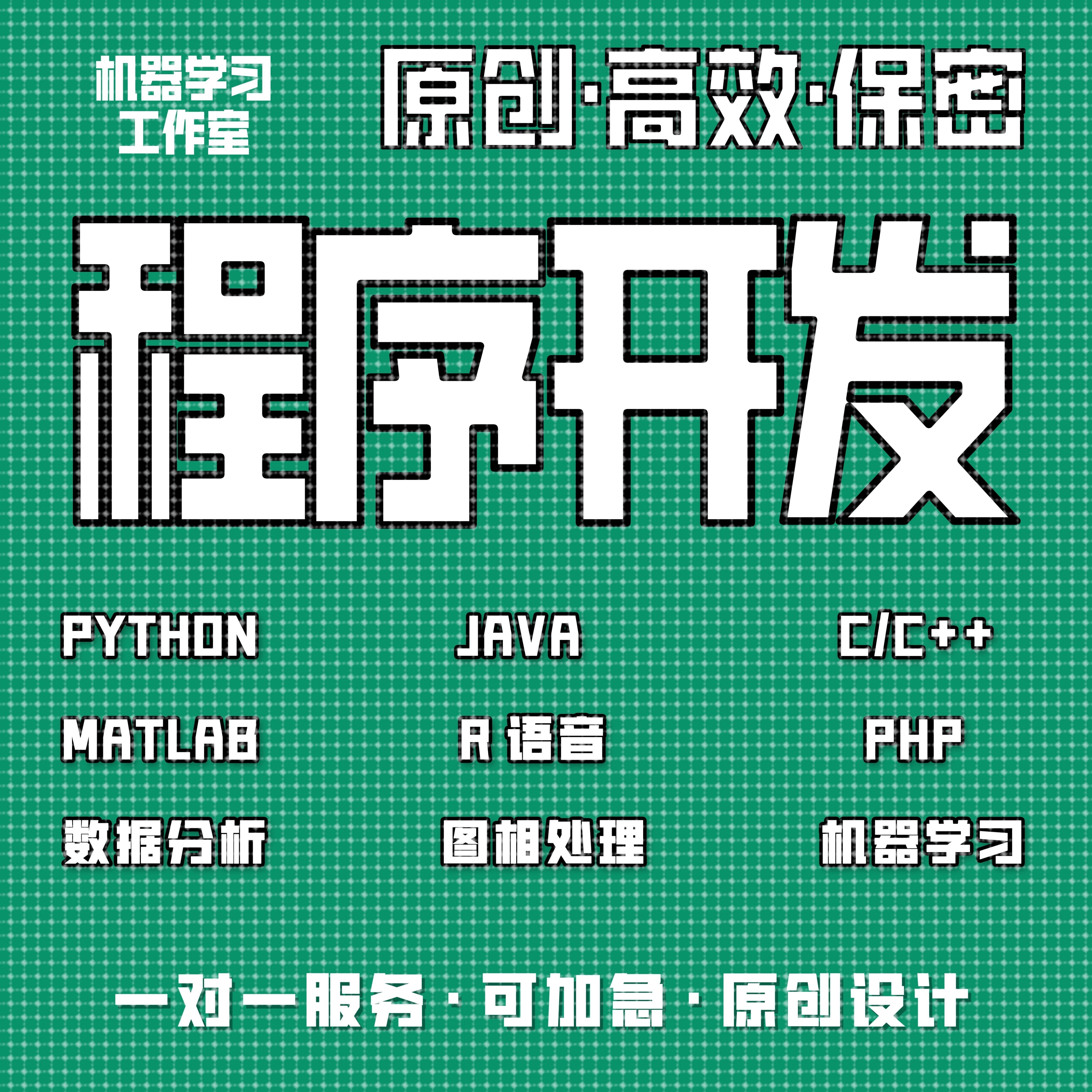 计算机python代编java程序代做c/c++代码编写c#设计开发r语言代写