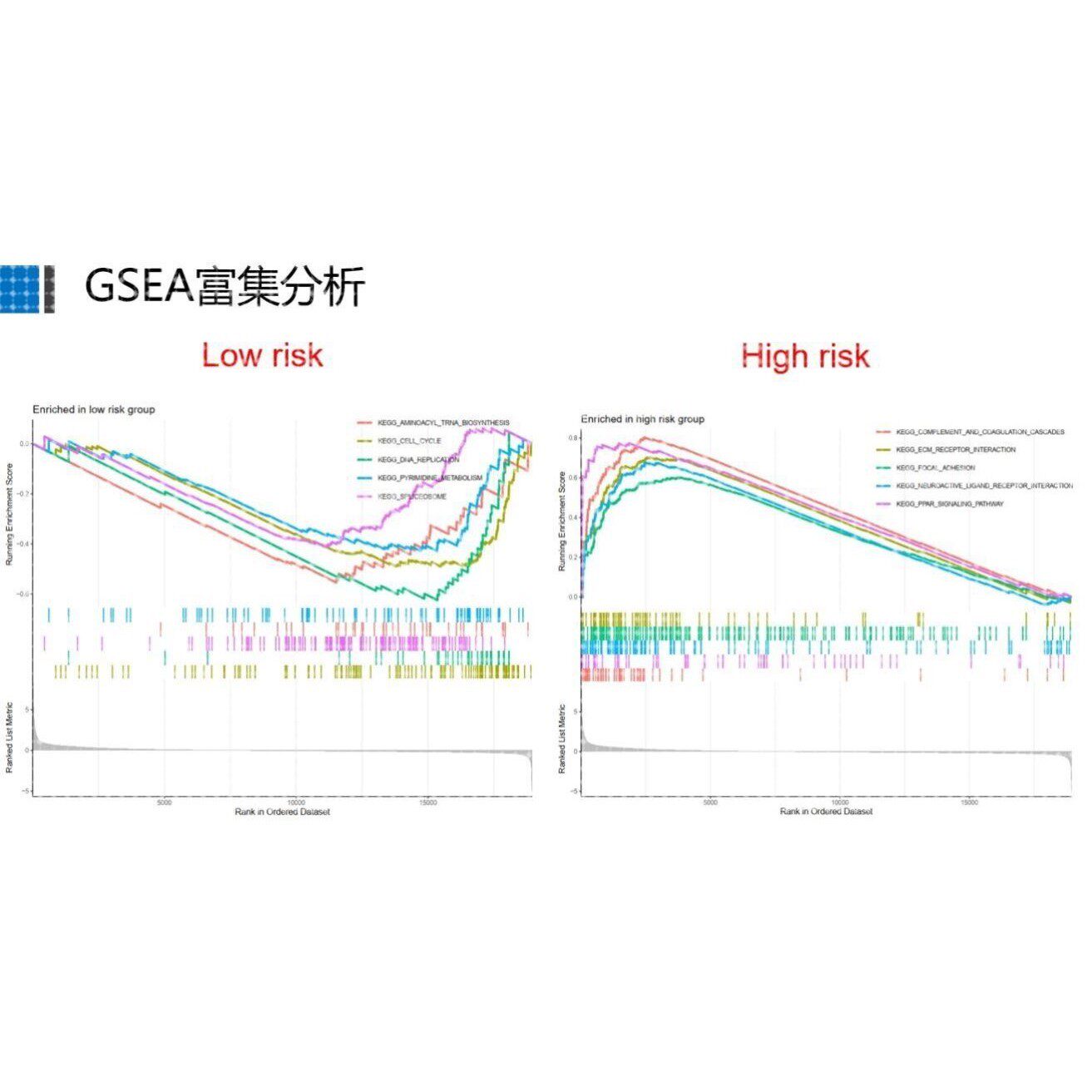 TCGA数据库免疫基因预后(免疫治疗/生存分析/WGCNA共表达网络)