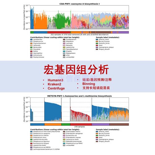 宏基因组数据微生物16S生信分析R语言绘图 humann3 kraken2 krona