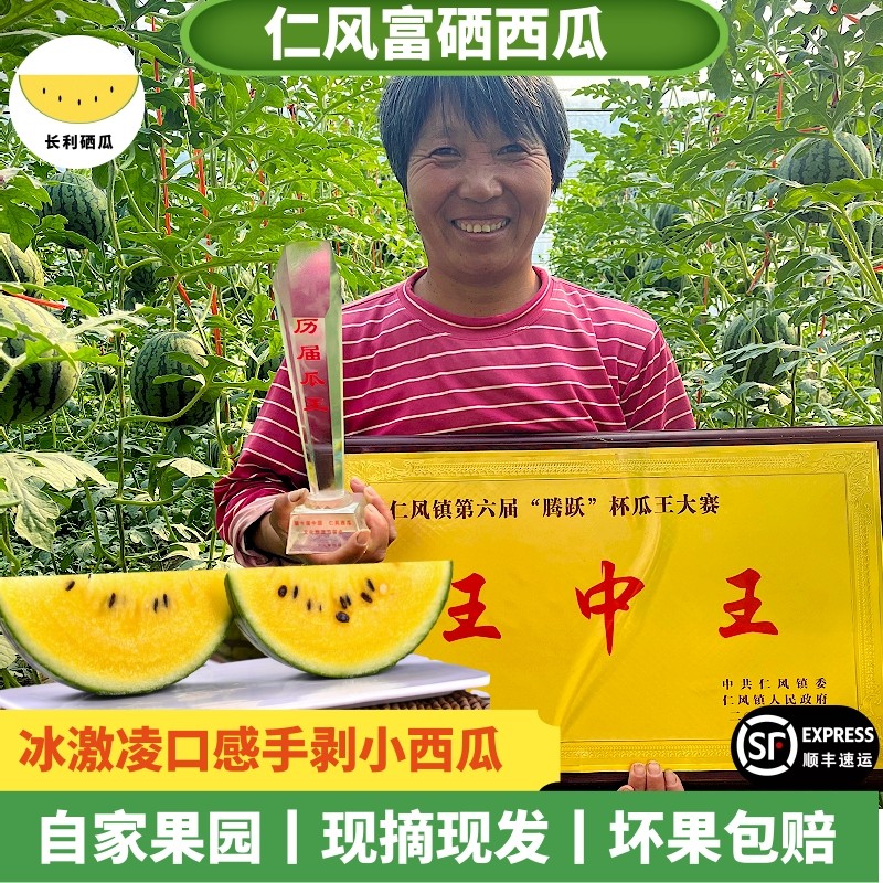 仁风富硒西瓜黄瓤黄心新鲜当季水果皮薄小兰脆甜冰淇淋小西瓜顺丰