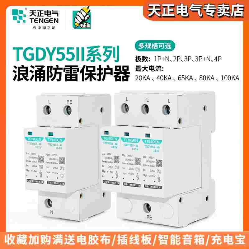 天正TGDY55II浪涌电涌保护器2P4P防雷避雷器20KA40KA二级380V家用
