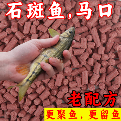 石斑鱼打窝料溪流野钓浓腥红虫大颗马口小白条专用饵料蚯蚓颗粒鱼