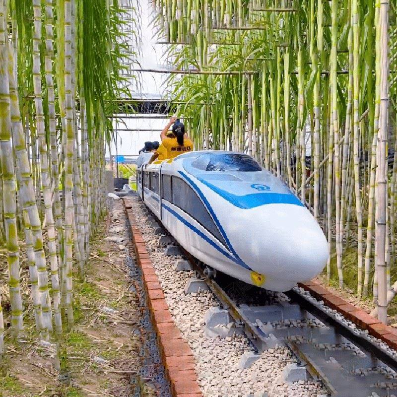 和谐号网红小高铁 景区农庄小型观光列车 复兴号游园动力小高铁
