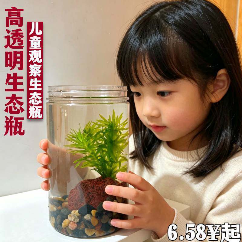 养虾专用缸生态瓶微景观