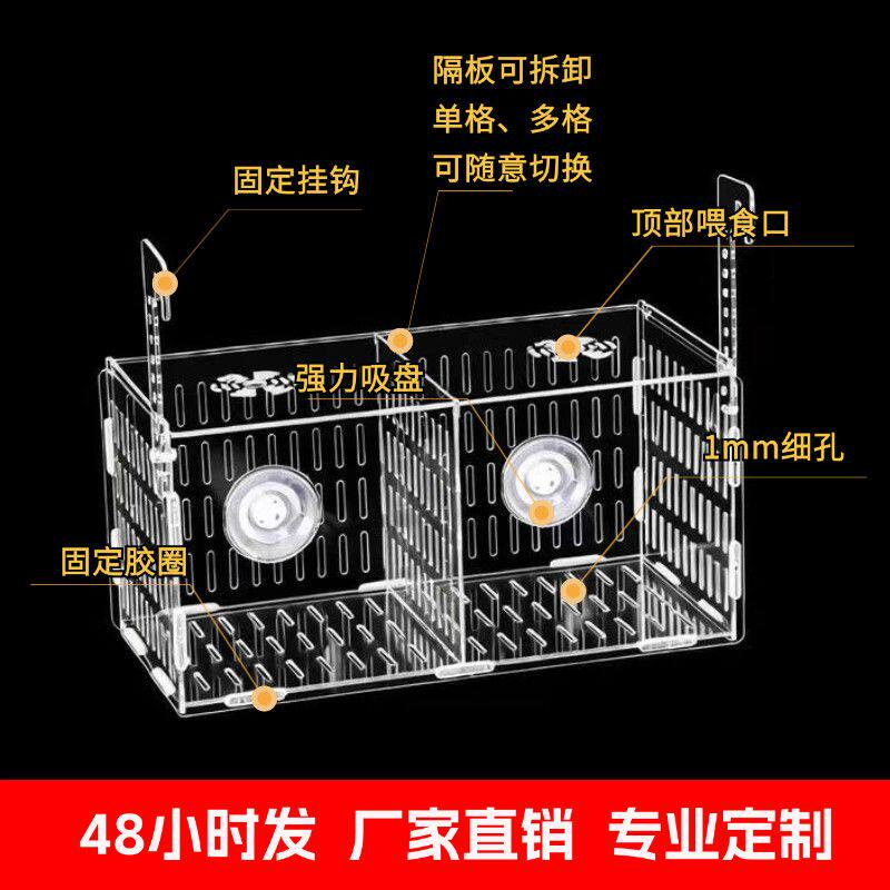 鱼缸分养盒鱼缸隔离盒斗鱼观赏成年孔雀鱼鹦鹉鱼隔离繁殖盒亚克力
