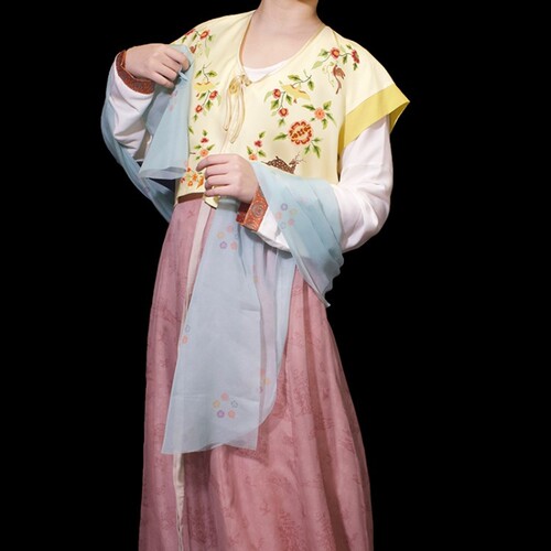 唐背子汉服青泠谷初唐