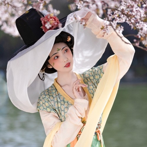 青泠谷原创汉服苎麻唐背子现货