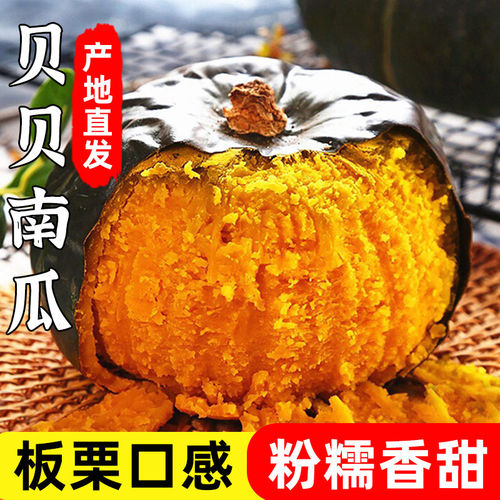 正宗板栗味贝贝南瓜小南瓜