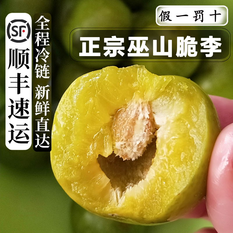 正宗巫山脆李大果顺丰冷链上门