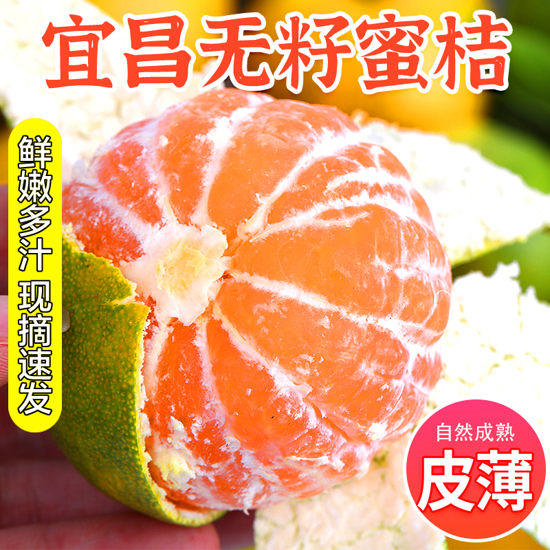 正宗宜昌蜜桔9斤新鲜橘子孕妇水果薄皮酸甜蜜橘柑橘当季桔子整箱