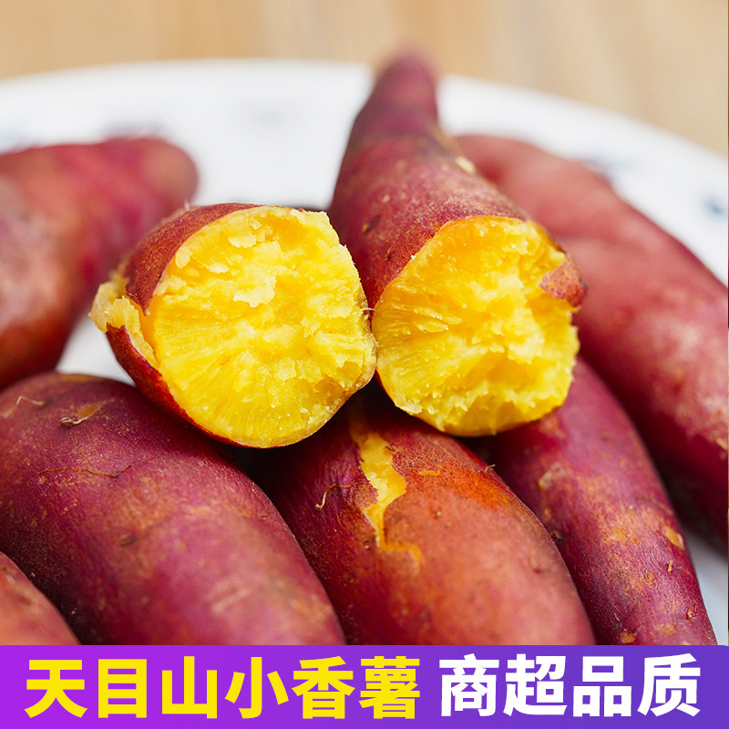 天目山小香薯板栗红薯正宗小番薯