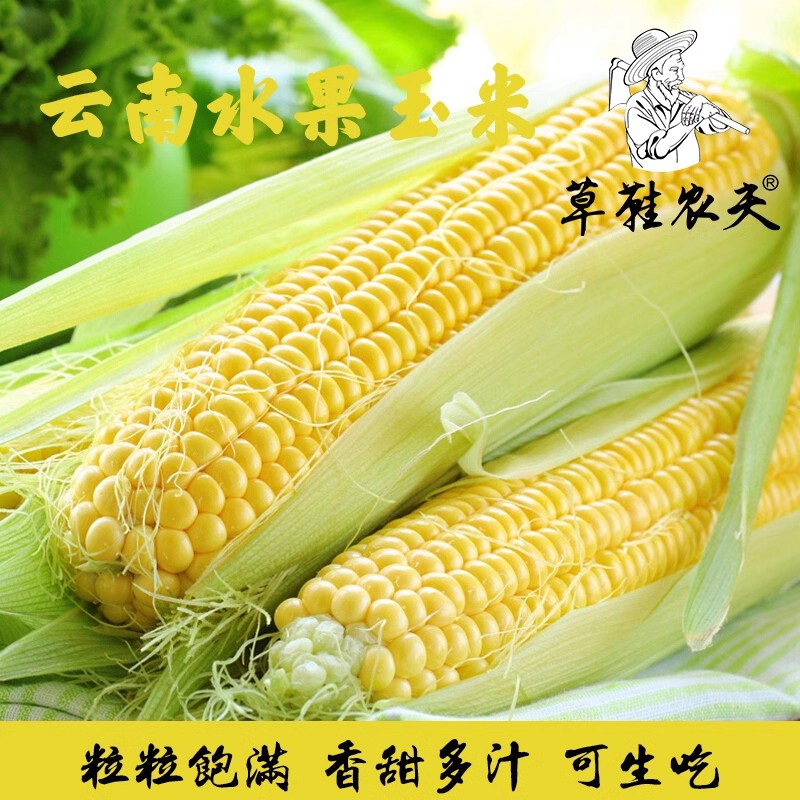 云南金银甜玉米新鲜现摘包邮粉糯