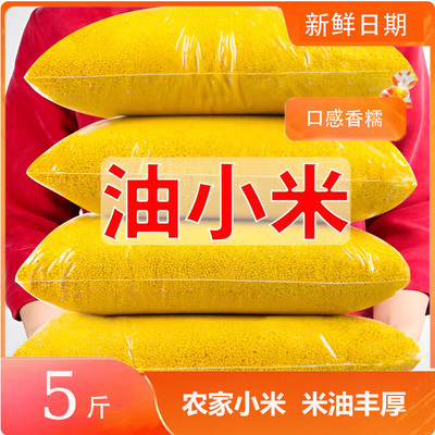 农家自产黄小米当季五谷杂粮新鲜黄小米家用煮早餐粥黄小米饱满